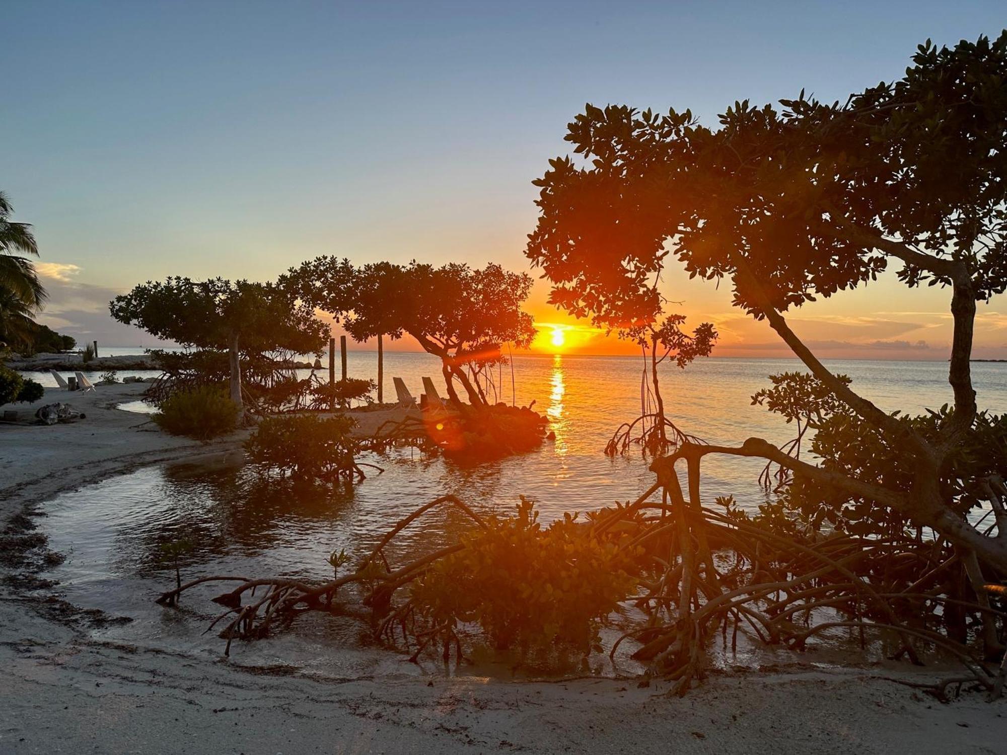 The Bounty Hotel Caye Caulker Bagian luar foto